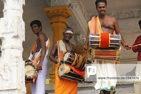 Drummers in a temple  Thaipusam festival in Tenkasi  Tamil Nadu  Tamilnadu  South India  India  Asia