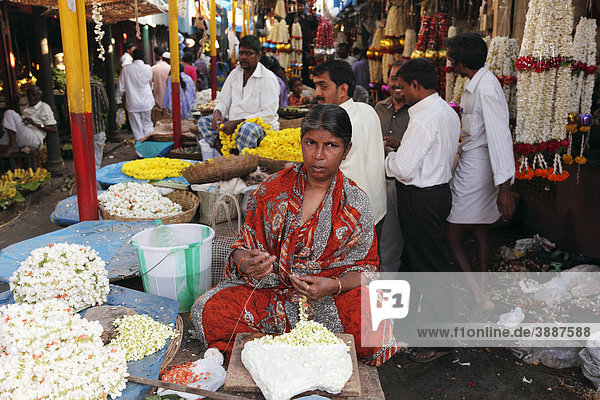 Women binding garlands of jasmine flowers  Devaraja Market  Mysore  Karnataka  South India  India  South Asia  Asia