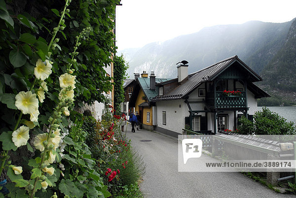 Straße am Hallstätter See  Hallstatt  UNESCO-Welterbe  Salzkammergut  Alpen  Oberösterreich  Österreich  Europa