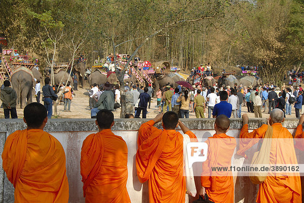 Theravada Buddhismus  Elefanten und Touristen  buddhistische Mönche schauen zu  Elephant Festival  Ban Viengkeo  Hongsa  Provinz Xaignabouri  Sayaburi  Xayaburi oder Sainyabuli  Laos  Südostasien  Asien