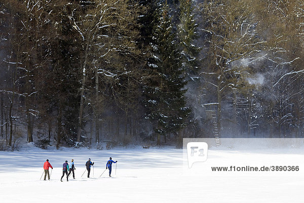 A group of cross-country skiers