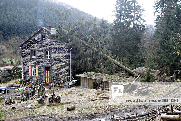 Altes Wohnhaus im Nettetal wurde beim Durchzug des Sturmtiefs Xynthia von einem umstürzenden Baum getroffen  Mayen  Rheinland-Pfalz  Deutschland  Europa