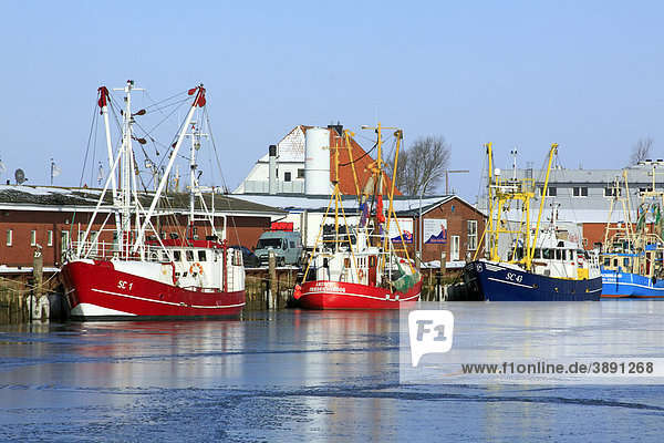 Fischkutter im eisbedeckten Hafen von Büsum an der Nordseeküste im Winter  Kreis Dithmarschen  Schleswig-Holstein  Deutschland  Europa