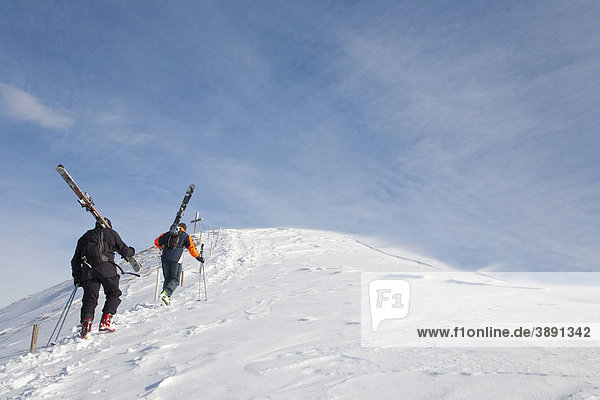 Zwei Schifahrer auf dem Weg zum Fellhorngipfel  Fellhorn  Tourenski  Alpen  Winter  Schnee  Oberstdorf  Allgäuer Alpen  Allgäu  Bayern  Deutschland  Europa