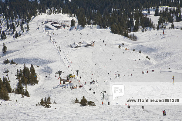 Skiing area on Mt Fellhorn  winter  snow  Oberstdorf  Allgaeu Alps  Allgaeu  Bavaria  Germany  Europe