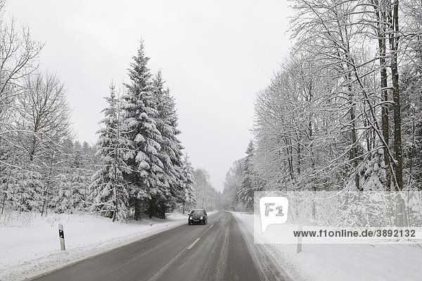 Landstraße durch Wald im Winter  Landkreis Pfullingen  Baden-Württemberg  Deutschland  Europa