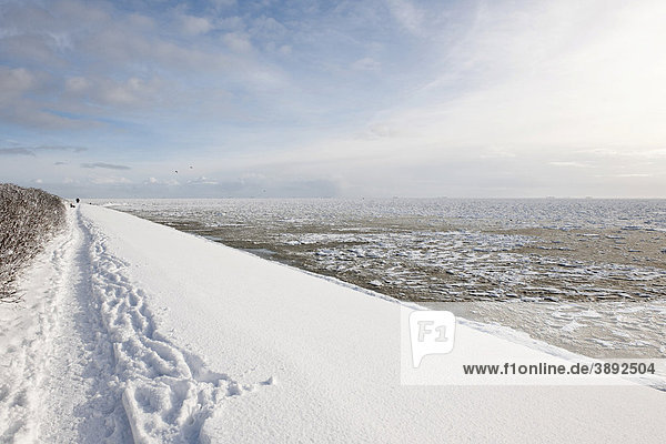 Tiefer Schnee und Eisschollen auf der See  Nordsee-Insel Föhr  Nationalpark Schleswig-Holsteinisches Wattenmeer  UNESCO Weltnaturerbe  Nordfriesische Inseln  Schleswig-Holstein  Norddeutschland  Europa