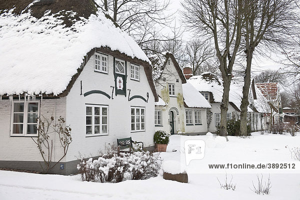Friesenhäuser im Schnee  Ort Nieblum auf der Nordsee-Insel Föhr  Nordfriesische Inseln  Schleswig-Holstein  Norddeutschland  Europa