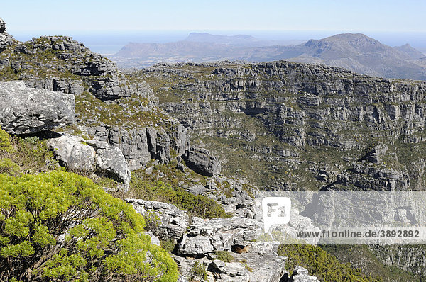 Blick vom Tafelberg in Richtung Kap der Guten Hoffnung  Kapstadt  Westkap  Südafrika  Afrika