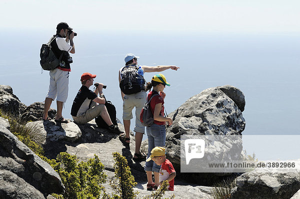 Visitors looking from Table Mountain on Cape Town  Western Cape  South Africa  Africa