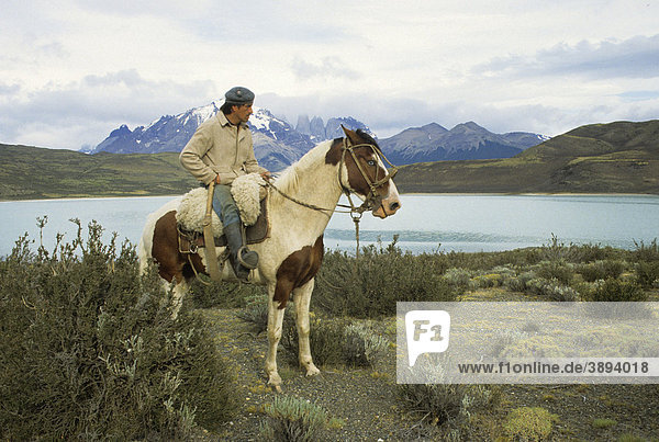 Vaguero  cowboy  on horseback  Chilean Patagonia  Chile  South America