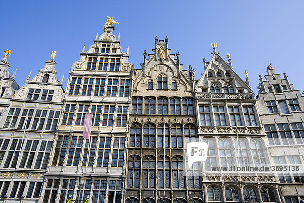 Fassaden der Gildehäuser auf dem Grote Markt  Antwerpen  Flandern  Belgien  Europa