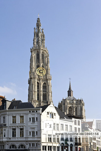 Liebfrauenkathedrale  Onze-Lieve-Vrouwekathedraal  Antwerpen  Flandern  Belgien  Europa