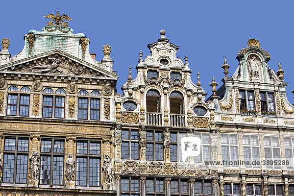 Fassaden und Giebel der Gildehäuser am Grote Markt  Grand Place  Brüssel  Belgien  Europa