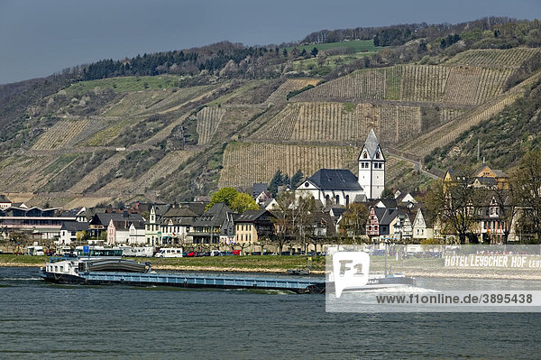 Leutesdorf  Blick über den Rhein von Andernach  Rheinland-Pfalz  Deutschland  Europa