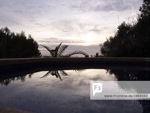 Reflection of the evening sky in the pool  on a terrace of an apartment in Majorca  Balearic Islands  Spain  Europe
