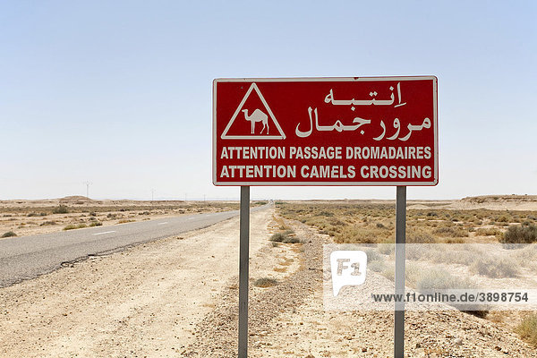Kamel-Warnschild in der Sahara  Afrika