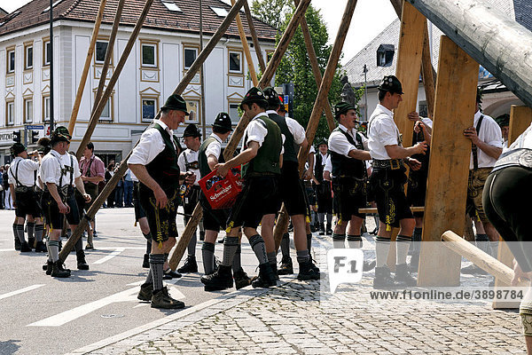 Bayern mit einem Bier der Fest zum Maibaumaufstellen  Prien  Chiemgau  Oberbayern  Deutschland  Europa