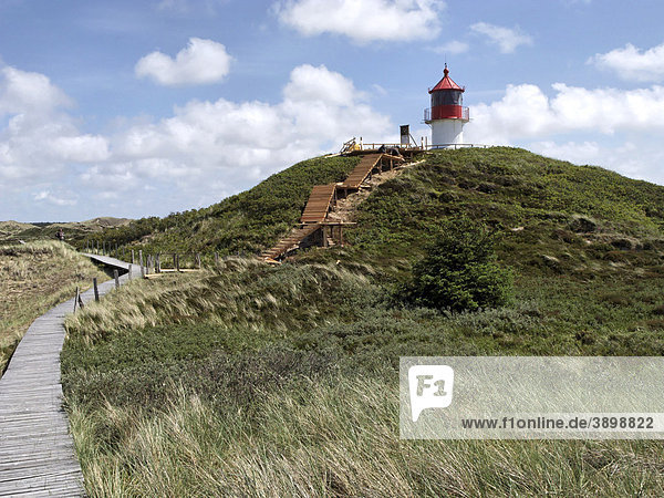 Naturlehrpfad und Holzstufen im Bau führen zu einem Leuchtturm auf der Insel Amrum  Schleswig-Holstein  Deutschland  Europa