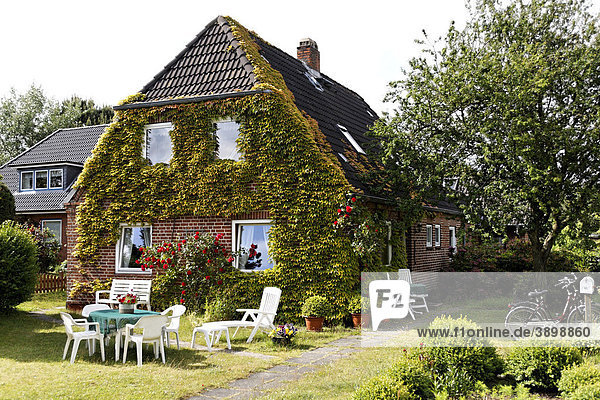 Friesisches Haus  bewachsen  in Nebel  Insel Amrum  Schleswig-Holstein  Deutschland  Europa
