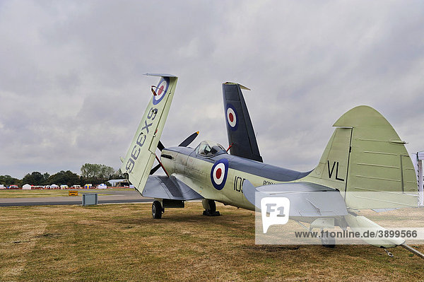 Supermarine Seafire F.XVII SX336 Abfangjäger auf dem North Weald Airfield Flughafen  Essex  England  Vereinigtes Königreich  Europa