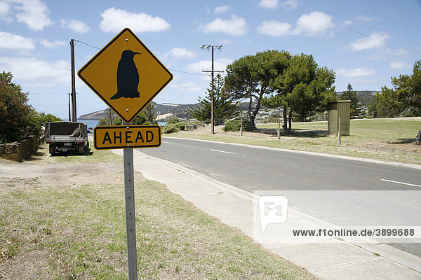 Beware  penguins  traffic sign on Kangaroo Island  South Australia  Australia