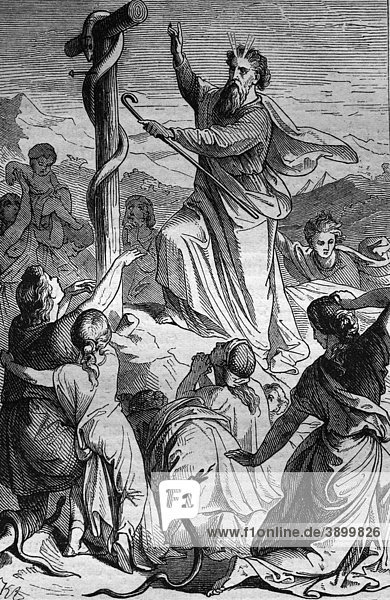 Moses richtet die Schlange auf historischer Stahlstich aus dem Jahre 1860