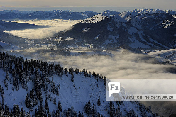 Nebel im Tal  Tannheimer Tal  Tirol  Österreich  Europa