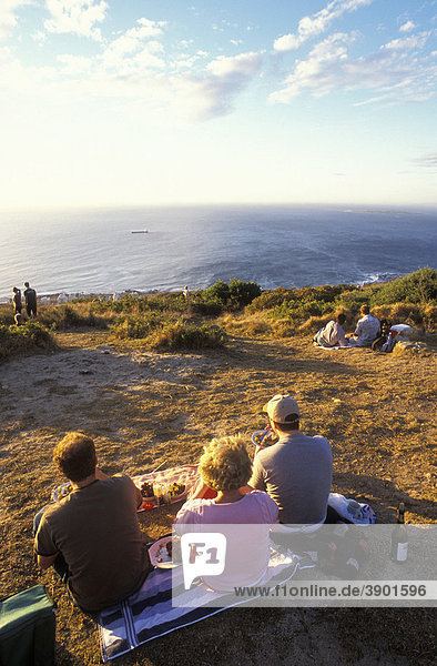 People at a picnic on Signal Hill  overlooking the Atlantic Ocean  Cape Town  Western Cape  South Africa  Africa