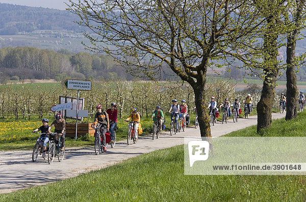 Group of cyclists in Bodmann  Lake Constance  Baden-Wuerttemberg  Germany  Europe