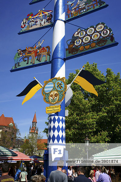 Maypole on Viktualienmarkt square in Munich  Bavaria  Germany  Europe