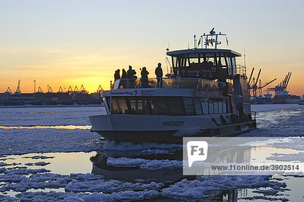 Harbor ferry on the wintery Elbe river at sunset  port of Hamburg  Hamburg  Germany  Europe