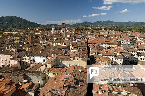 View from the Torre Guinigi look-out on the city,  Lucca,  Tuscany,  Italy,  Europe