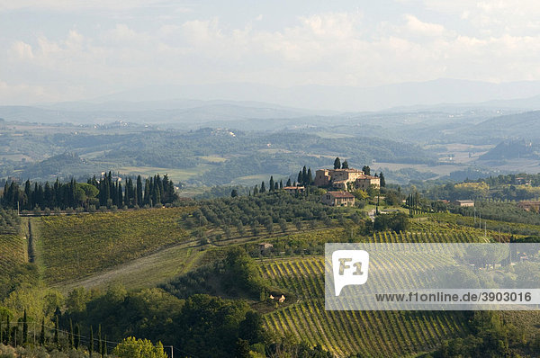 Typische toskanische Landschaft bei San Gimignano  Toskana  Italien  Europa