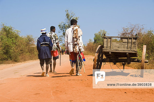 Malagasy people on a red road  Morondava  Madagascar  Africa