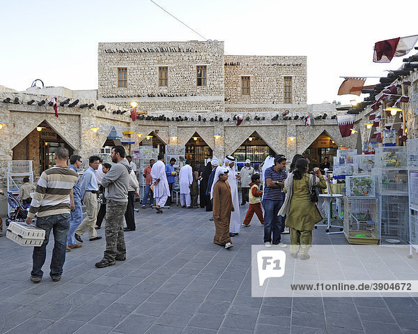 Tierhandel im Souq al Waqif  ältester Souq  Bazar  des Landes  Doha  Katar  Qatar  Persischer Golf  Naher Osten  Asien