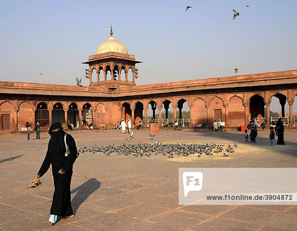 Innenhof der Freitagsmoschee Jama Masjid  Alt-Dehli  Delhi  Uttar Pradesh  Nordindien  Indien  Südasien  Asien