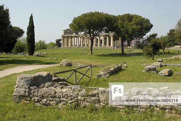 Ruinen in Paestum  hinten der Ceres-Tempel  Italien  Europa