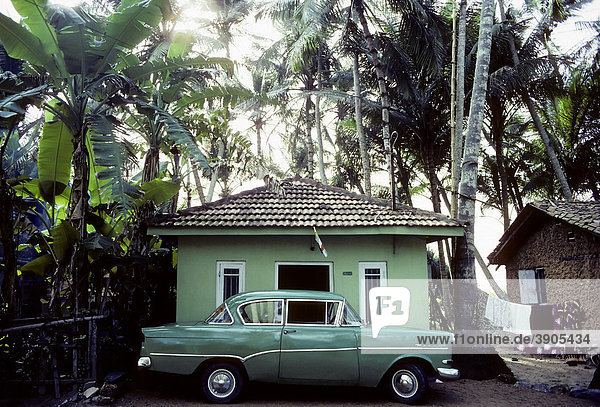 Grüner Oldtimer parkt vor kleinem  grün gestrichenem Haus unter Palmen  Opel Rekord  Sri Lanka  Ceylon  Südasien  Asien