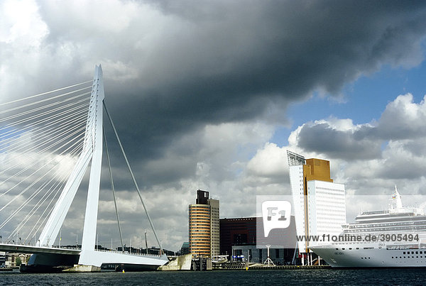 Erasmusbrug  Erasmusbrücke und Neubauten am Kop van Zuid  Rotterdam  Südholland  Niederlande  Europa