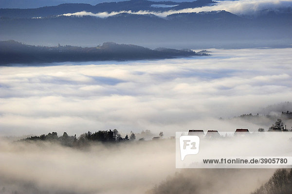 Nebel in den Bergen  Kitzeck im Sausal  Steiermark  Österreich  Europa