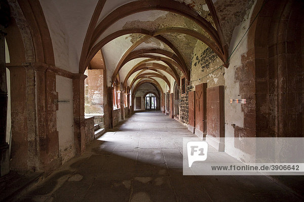 Bronnbach Abbey  cloister  Main-Tauber-Kreis  Bronnbach  Hesse  Germany  Europe