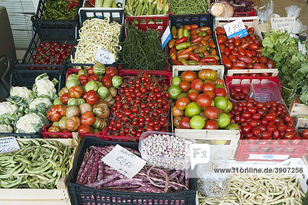 Gemüse am Markt  Viareggio  Toskana  Italien  Europa