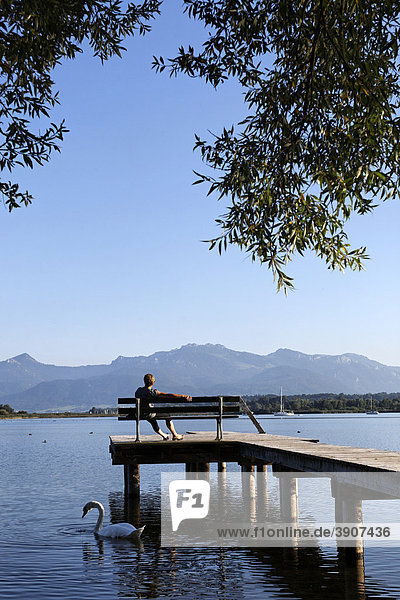 Woman sitting on a pier bench seat at the Lake Chiemsee  Chiemgau  Upper Bavaria  Germany  Europa