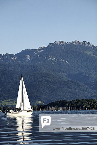 Weiße Yacht mit der Kampenwand in der Ferne  Chiemsee  Chiemgau  Oberbayern  Deutschland  Europa