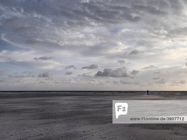 Person walking along the beach in the distance  North Frisian island of Amrum  Schleswig-Holstein  Germany  Europe