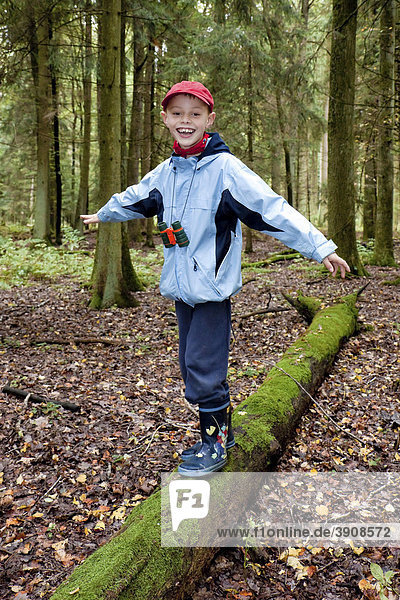 Ein Junge  7 Jahre  im Wald  balanciert auf einem Baumstamm  Herbstzeit