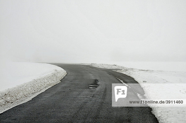 Straße bei Nebel  Winter  Schwäbische Alb  Deutschland  Europa