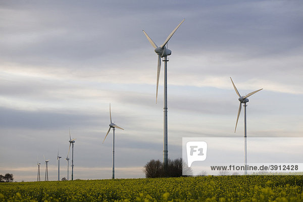 Windpark in der Nähe von Werl  Nordrhein-Westfalen  Deutschland  Europa