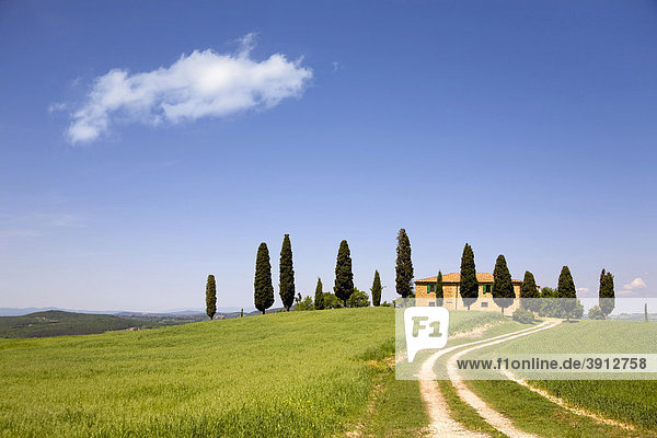 Landhaus auf einem Hügel in der Toskana mit den typischen Zypressen  Toskana  Italien  Europa